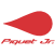 Logo Nelson Piquet Jr